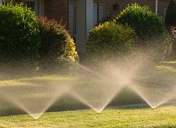 Lawn Watering