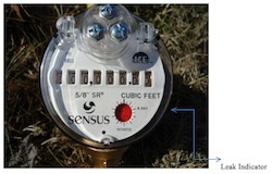 Water Meter Leak Indicator