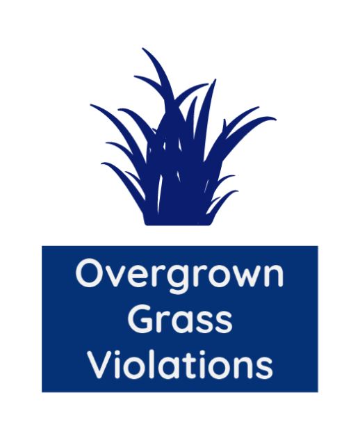 Overgrown Grass Icon