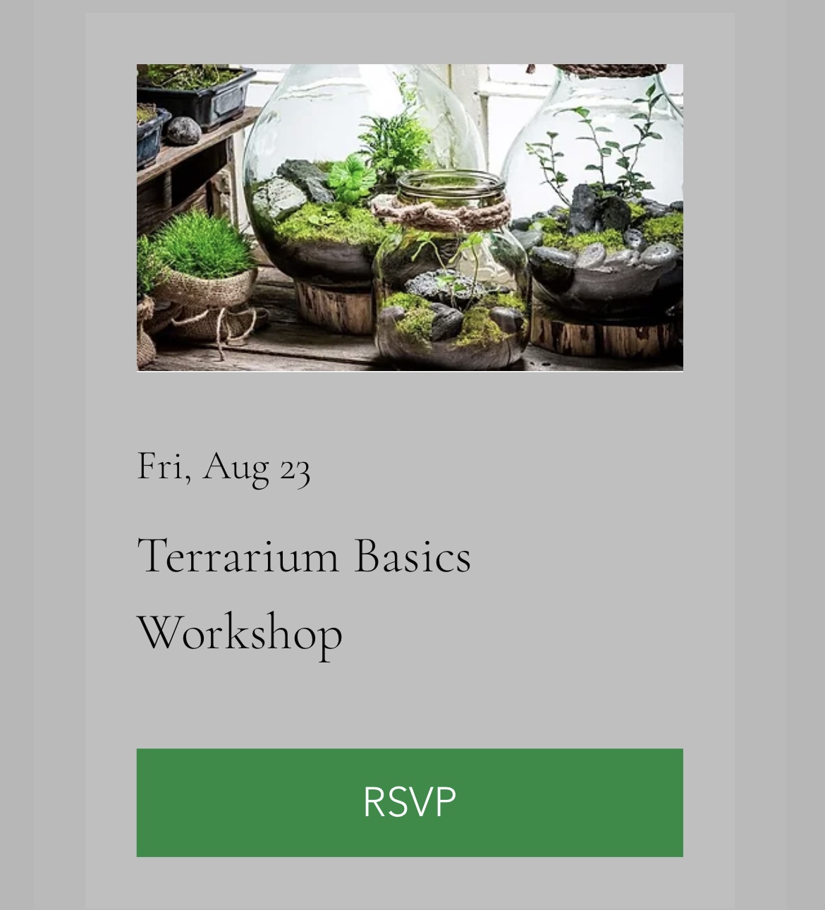 Terrarium Basics Workshop