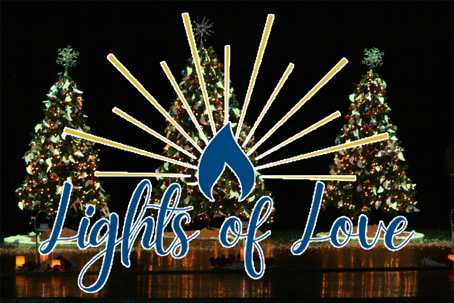 Hospice Lights of Love